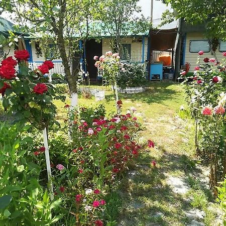 Camping Casuta Mihaela Crișan Kültér fotó