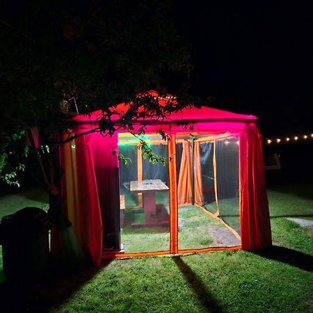Camping Casuta Mihaela Crișan Kültér fotó