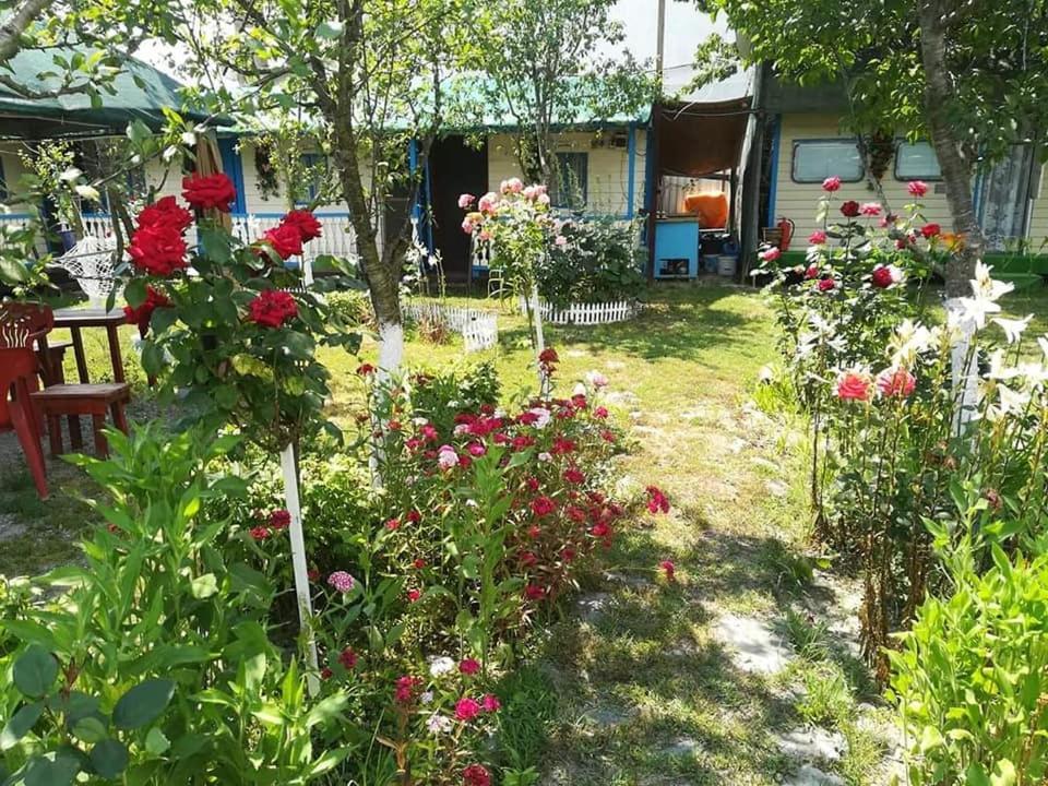 Camping Casuta Mihaela Crișan Kültér fotó