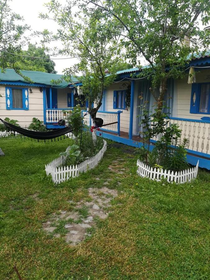 Camping Casuta Mihaela Crișan Kültér fotó