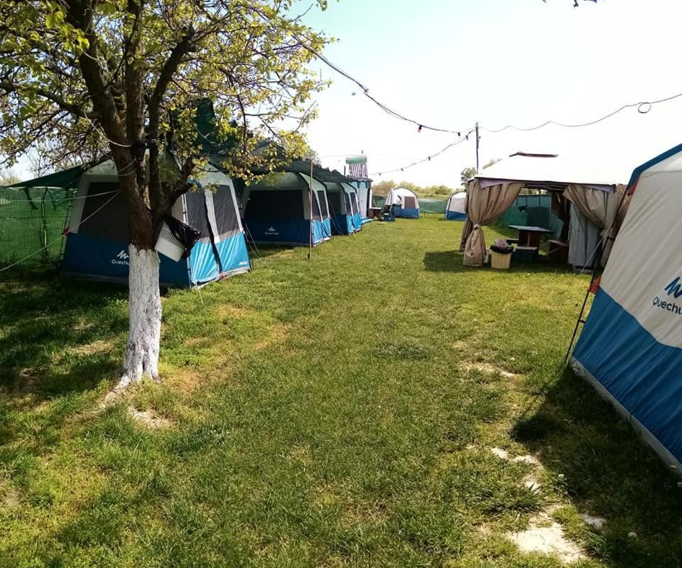 Camping Casuta Mihaela Crișan Kültér fotó