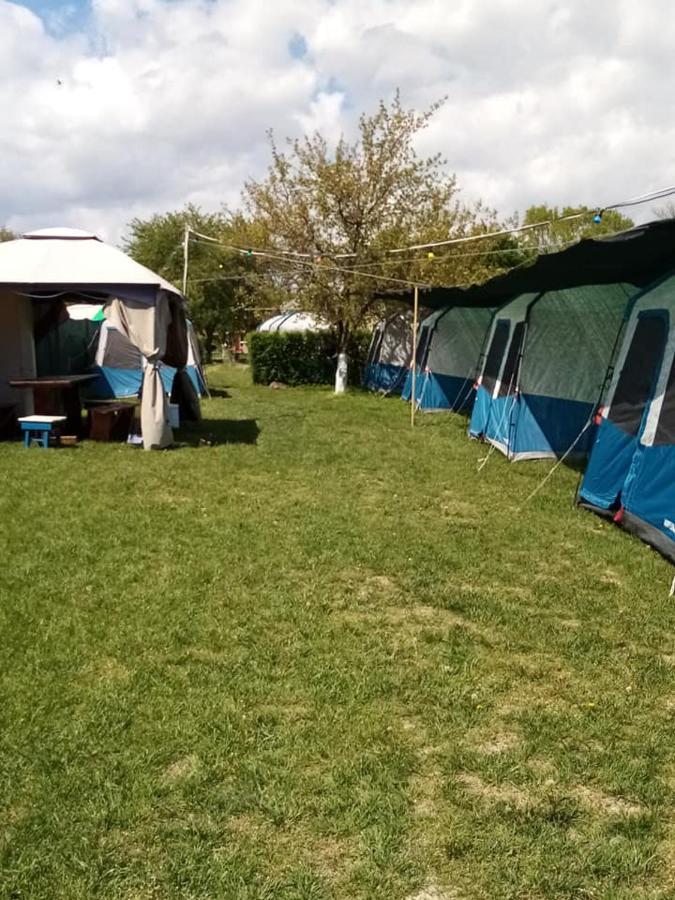 Camping Casuta Mihaela Crișan Kültér fotó