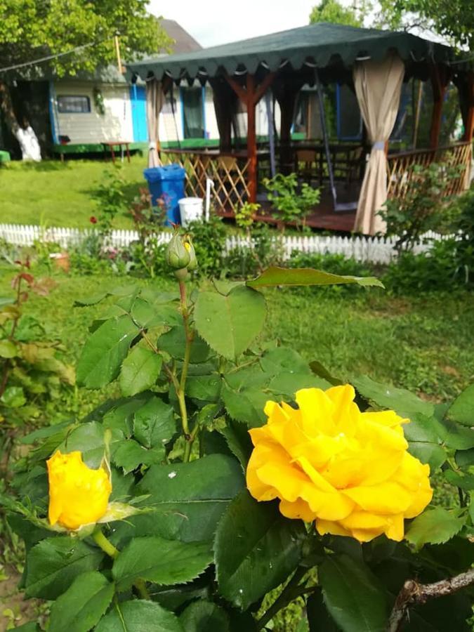 Camping Casuta Mihaela Crișan Kültér fotó