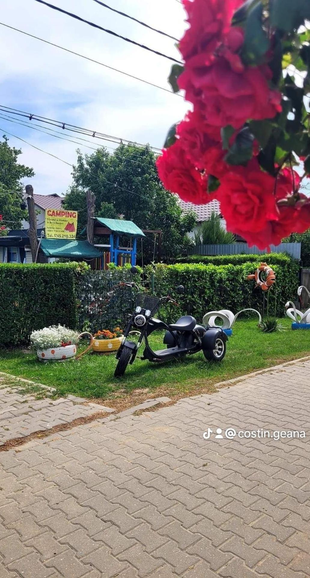 Camping Casuta Mihaela Crișan Szoba fotó