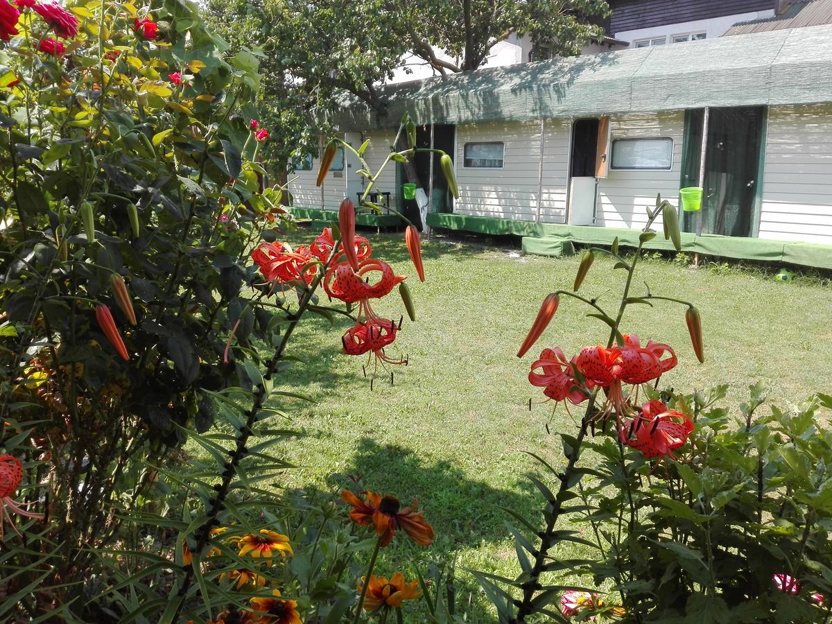 Camping Casuta Mihaela Crișan Kültér fotó