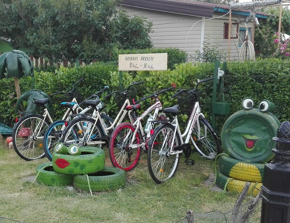 Camping Casuta Mihaela Crișan Kültér fotó