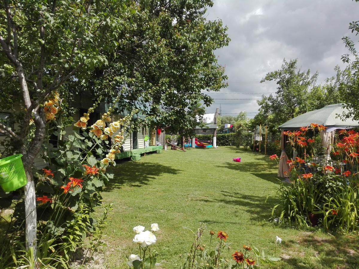 Camping Casuta Mihaela Crișan Kültér fotó