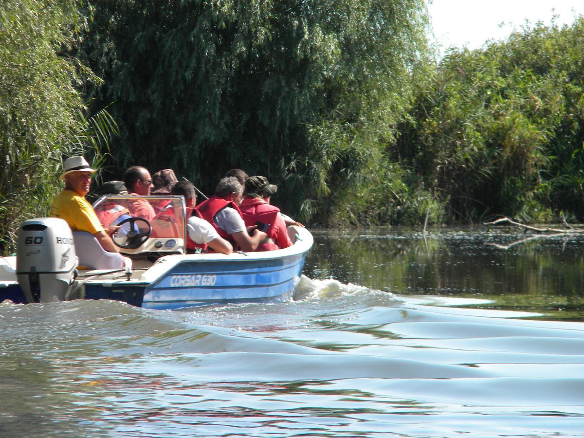 Camping Casuta Mihaela Crișan Kültér fotó