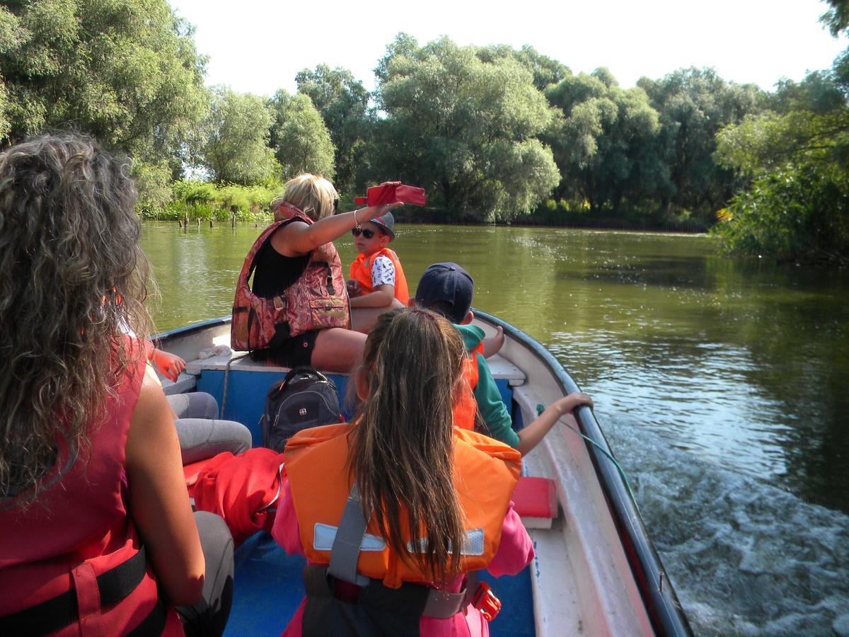 Camping Casuta Mihaela Crișan Kültér fotó